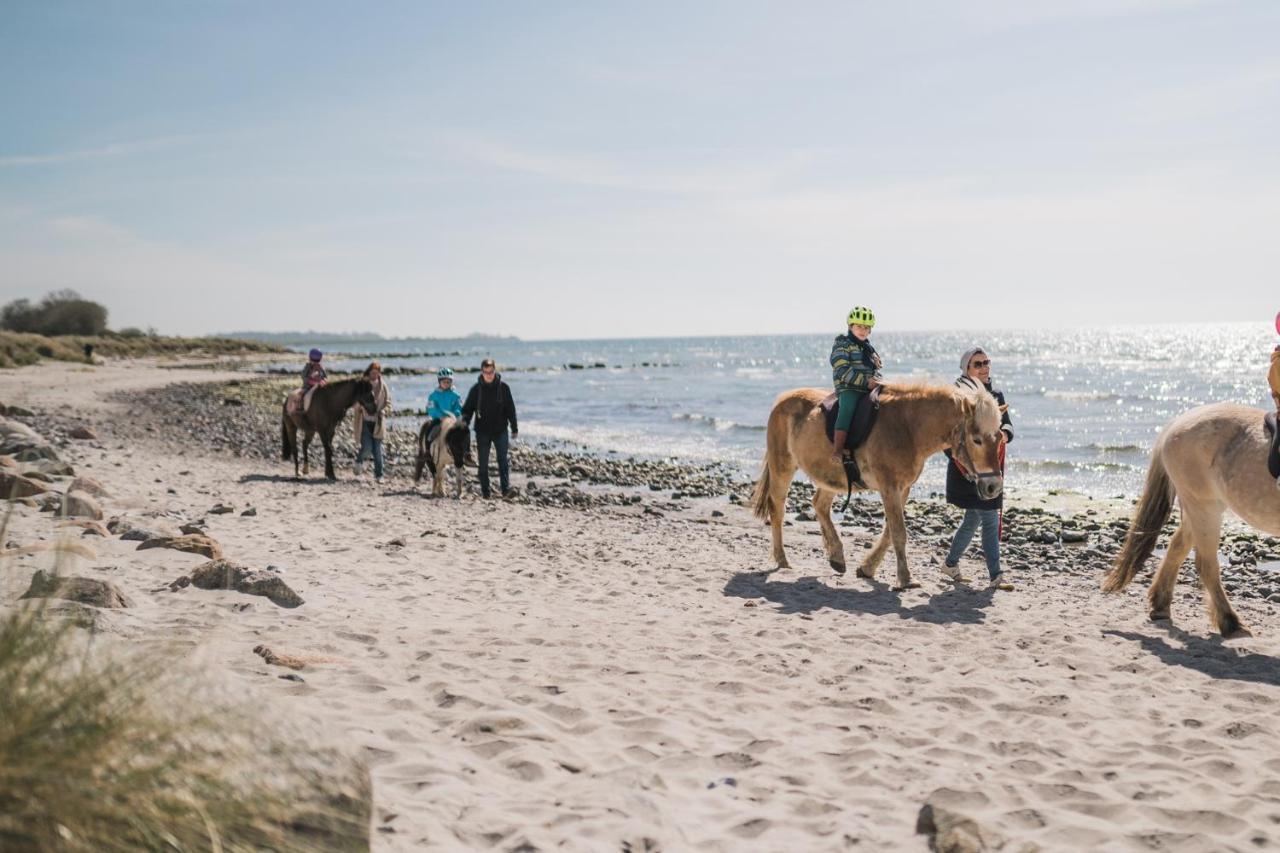 Buedlfarm - Der Familien-Erlebnishof In Strandnaehe Femern Eksteriør billede