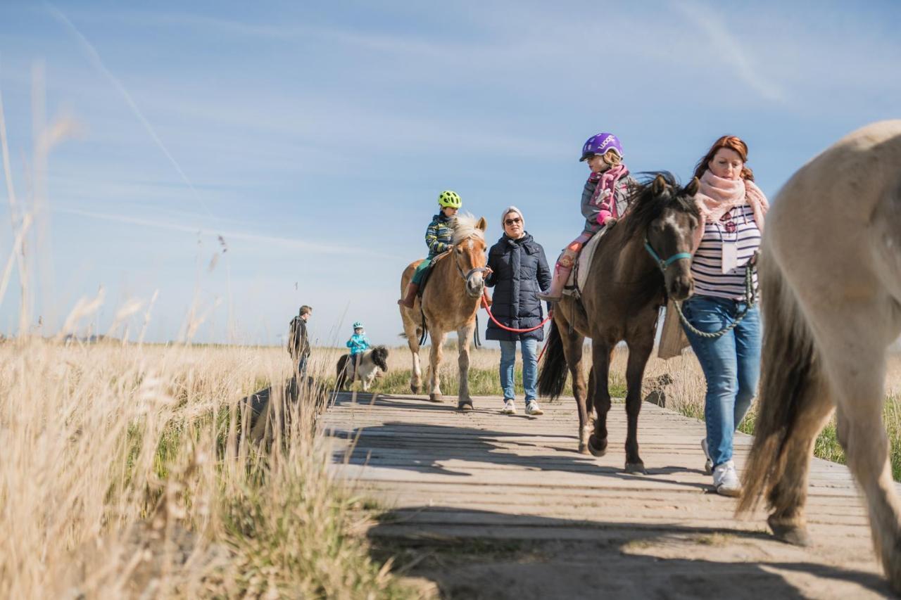 Buedlfarm - Der Familien-Erlebnishof In Strandnaehe Femern Eksteriør billede