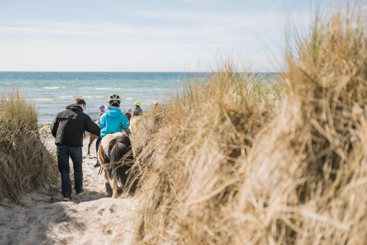 Buedlfarm - Der Familien-Erlebnishof In Strandnaehe Femern Eksteriør billede